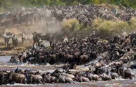 Colours of Serengeti National Park